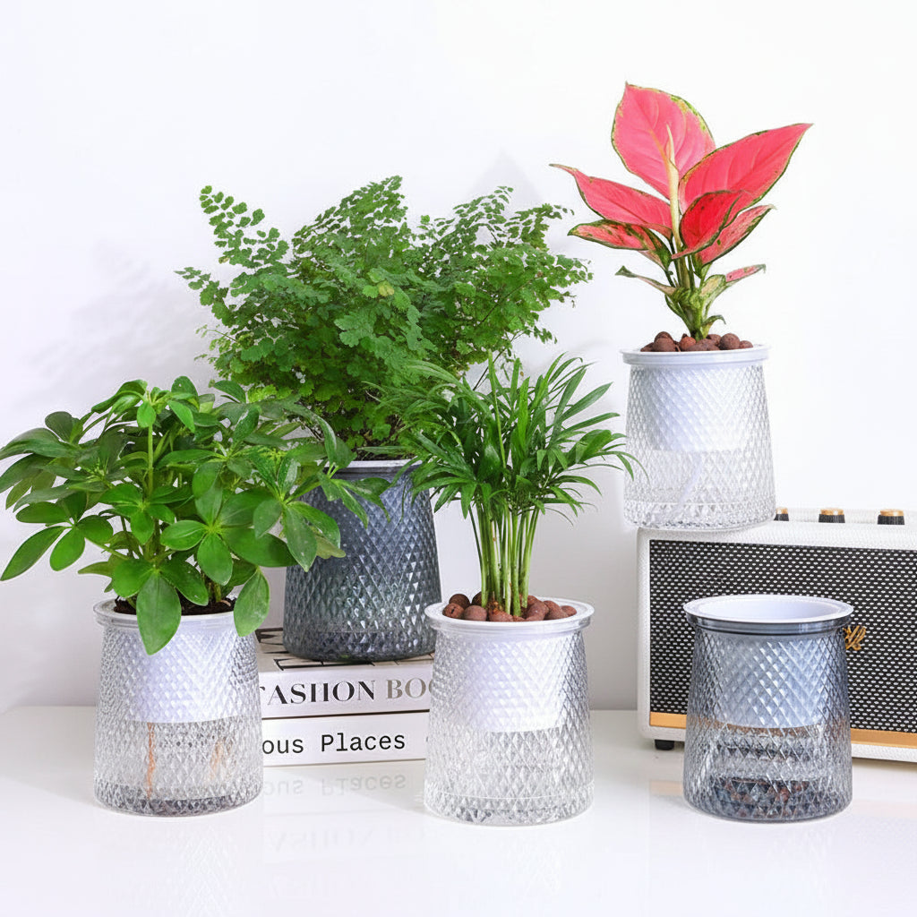 Double-Layer Self-Watering Transparent Hydroponic Flower Pot