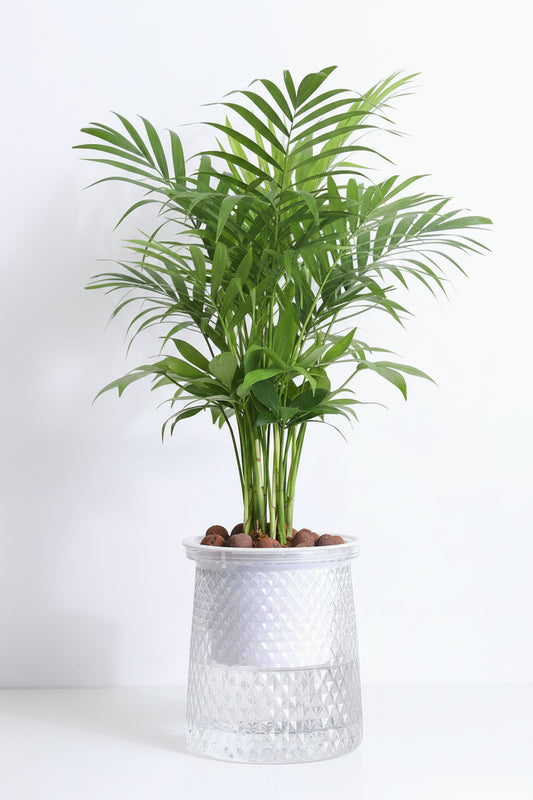 Double-Layer Self-Watering Transparent Hydroponic Flower Pot